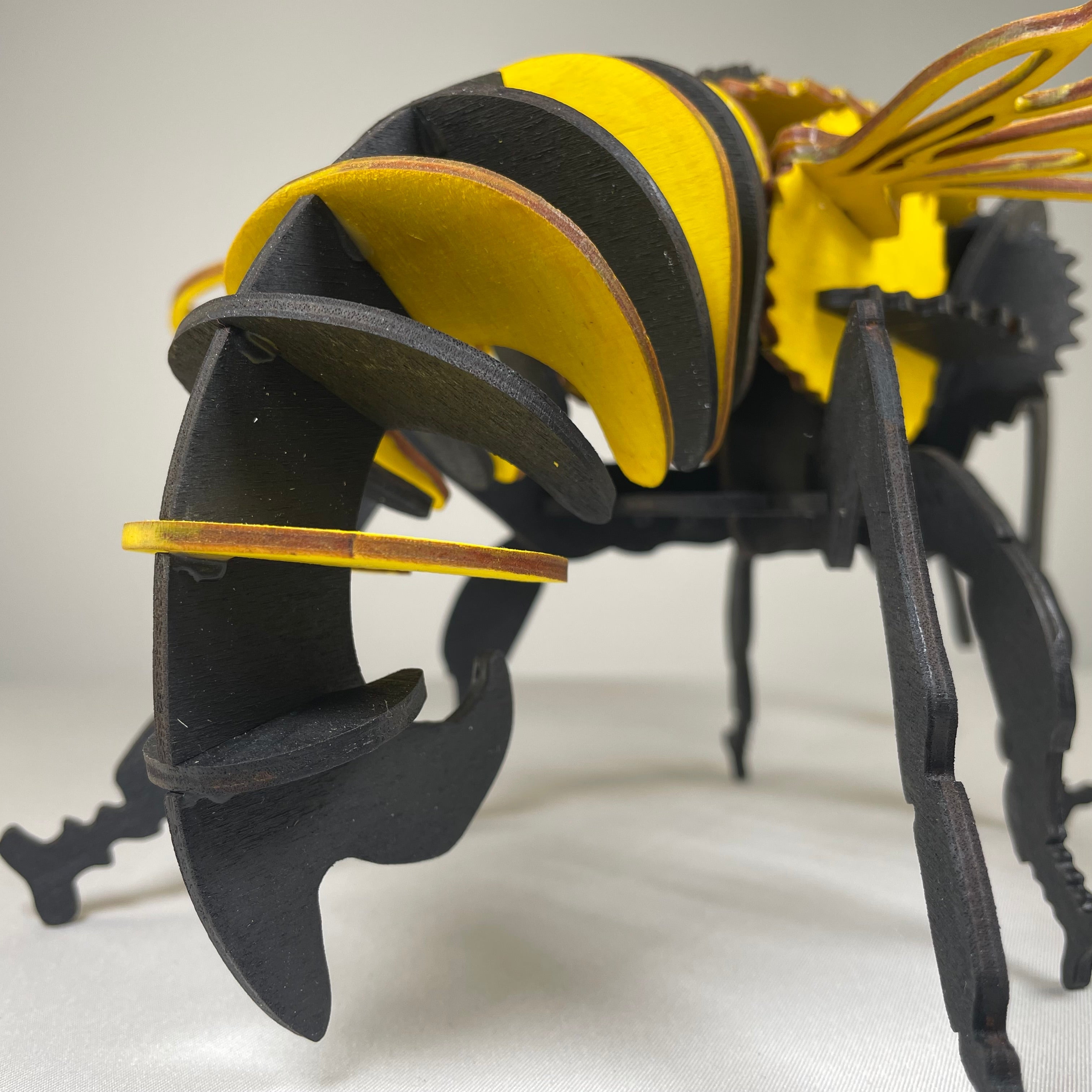 Bee Puzzle - Flatpack Model Kit by Curious Rabbit ® - Bits’N’Bobs 24-7
