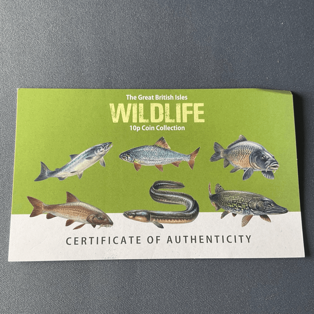 GUERNSEY 2023 WILDLIFE - FRESHWATER FISH coloured coin COLLECTION set 10p - Bits’N’Bobs 24 - 7