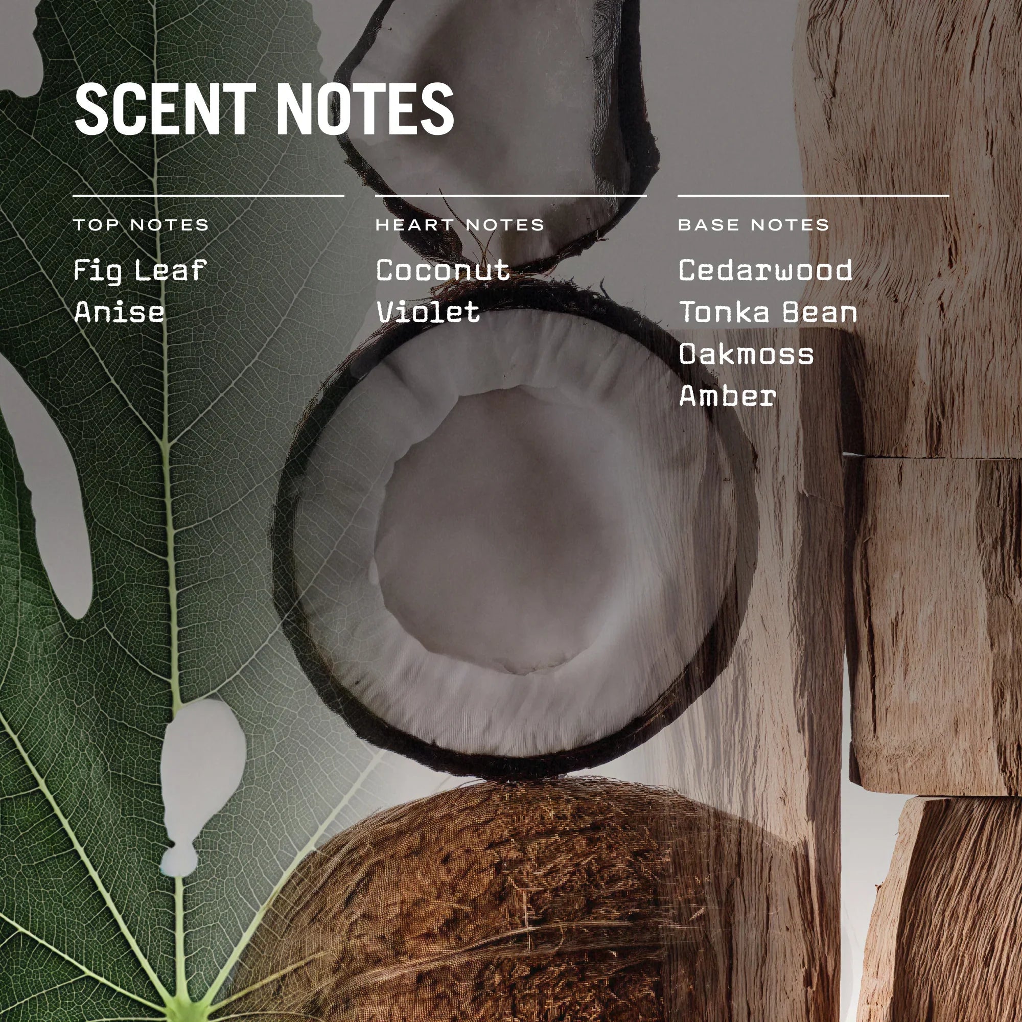 Opulence 100ml Reed Diffuser - Bits’N’Bobs 24-7